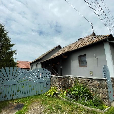 Casa De Oaspeti Cristina Fitod Екстериор снимка