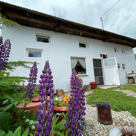 Casa De Oaspeti Cristina Fitod Екстериор снимка