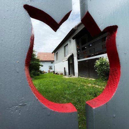 Casa De Oaspeti Cristina Fitod Екстериор снимка