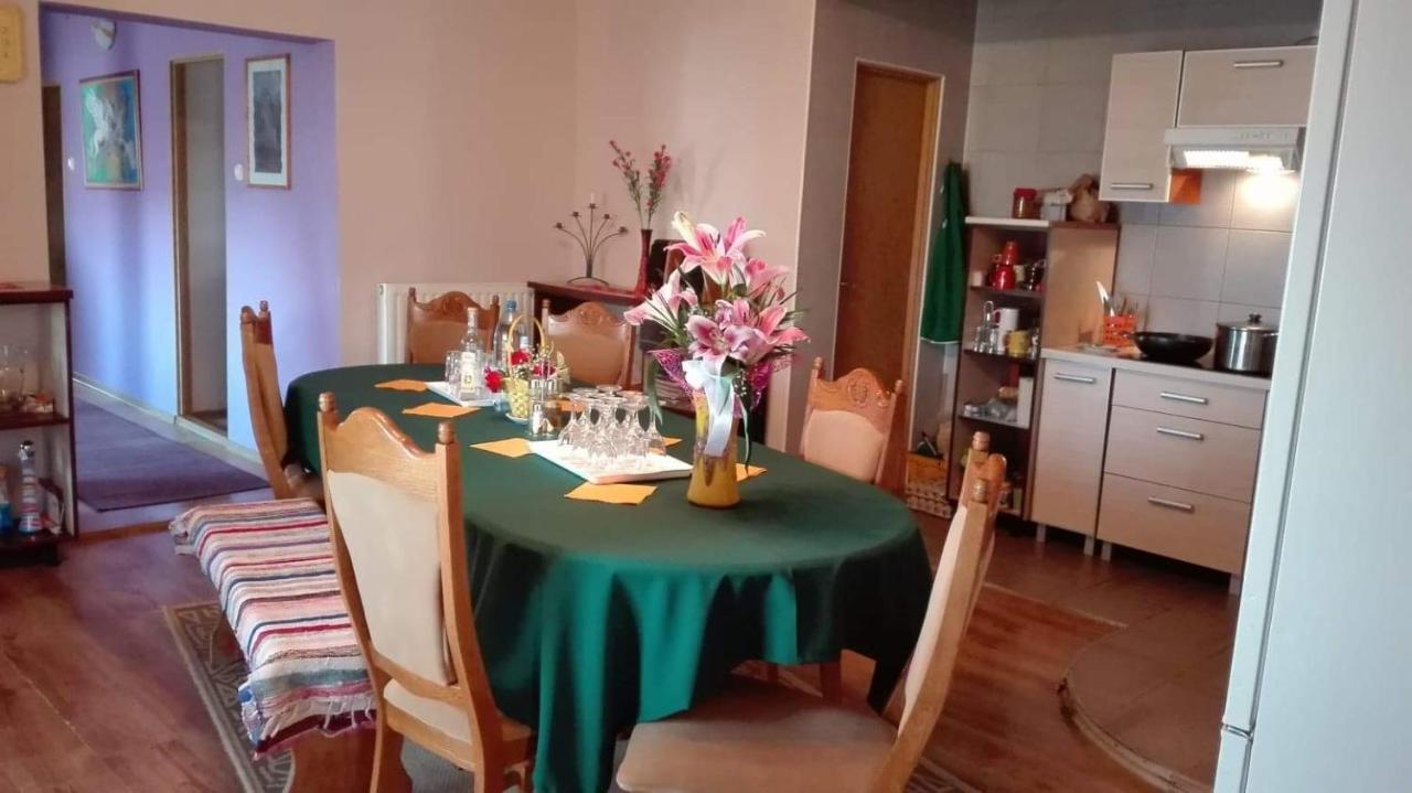 Casa De Oaspeti Cristina Fitod Екстериор снимка