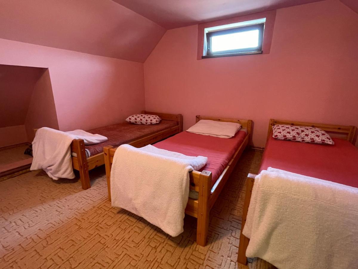 Casa De Oaspeti Cristina Fitod Екстериор снимка