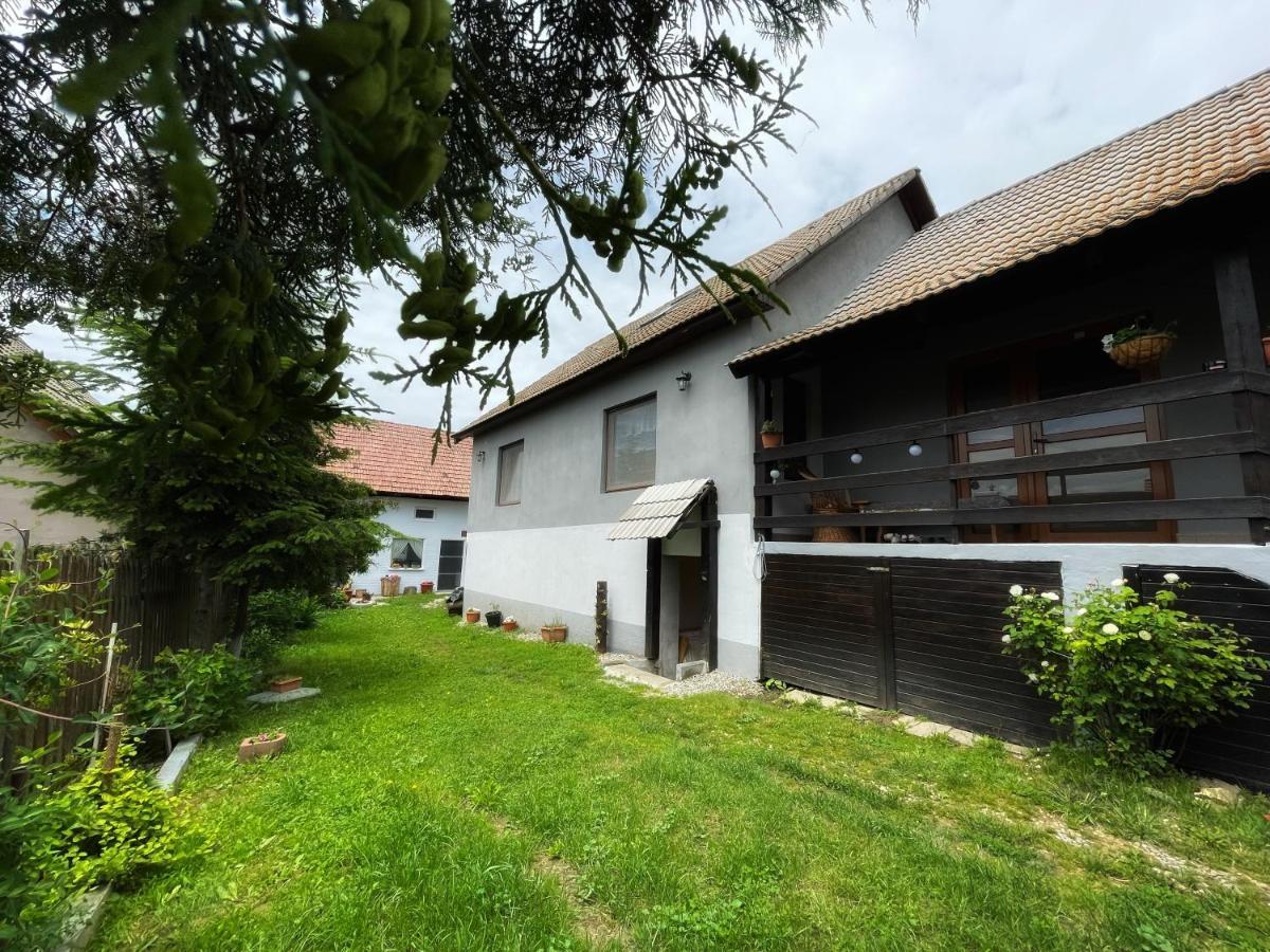 Casa De Oaspeti Cristina Fitod Екстериор снимка