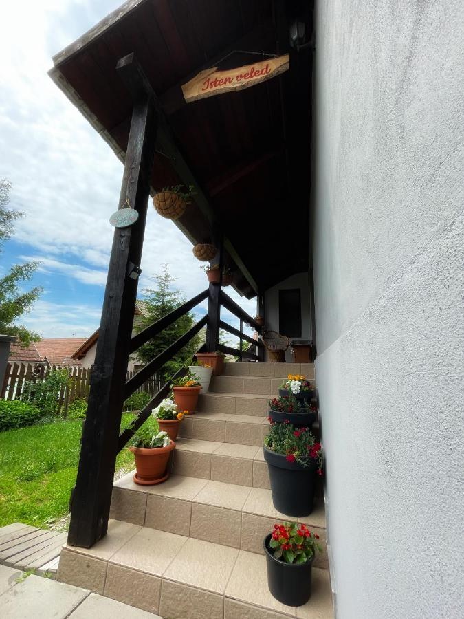 Casa De Oaspeti Cristina Fitod Екстериор снимка