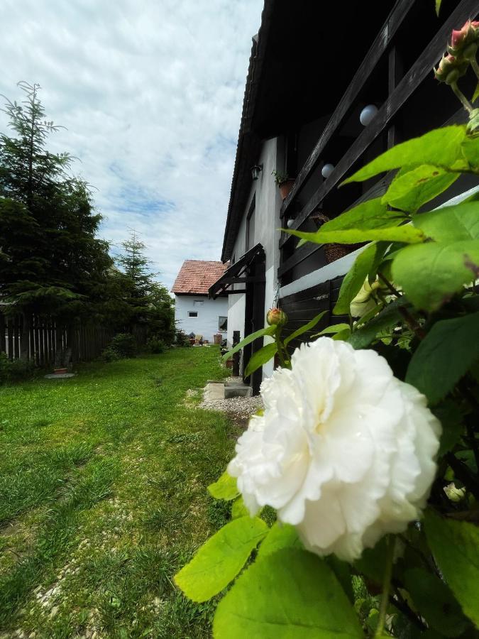 Casa De Oaspeti Cristina Fitod Екстериор снимка