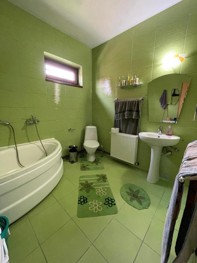 Casa De Oaspeti Cristina Fitod Екстериор снимка